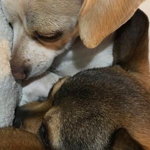 Meet your Posher, Marissa